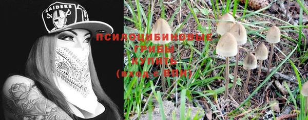 скорость Пересвет