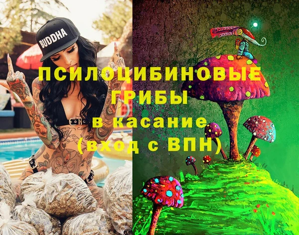 скорость Пересвет